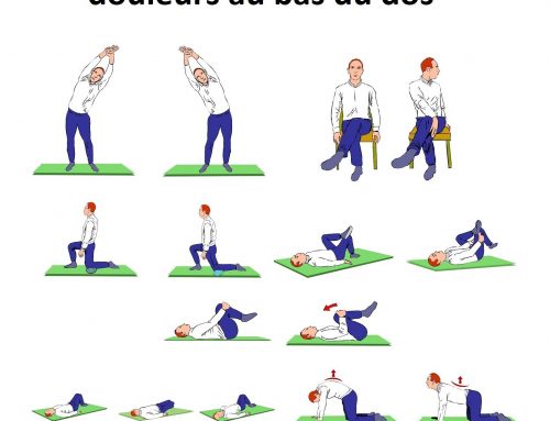 Exercices pour prévenir les douleurs au bas du dos