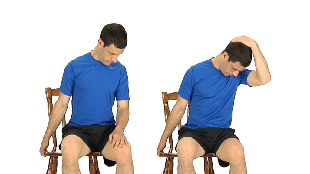 image étirement élévateur scapulae (omoplate)