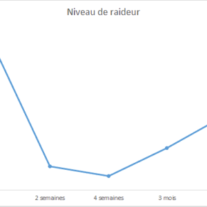 Niveau de Raideur